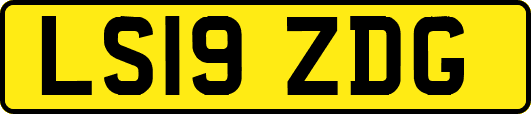 LS19ZDG