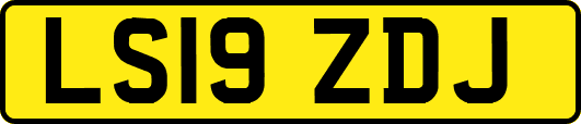 LS19ZDJ