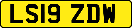 LS19ZDW
