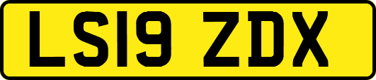 LS19ZDX