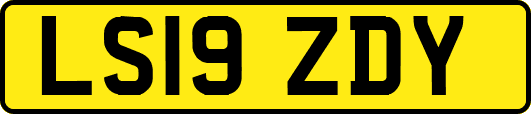 LS19ZDY
