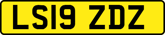 LS19ZDZ