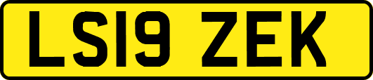 LS19ZEK