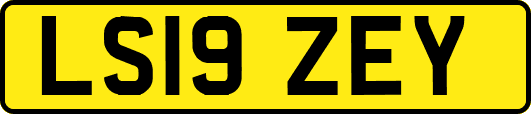 LS19ZEY