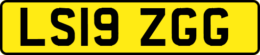 LS19ZGG