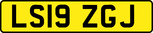 LS19ZGJ