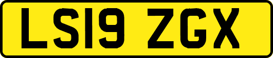 LS19ZGX