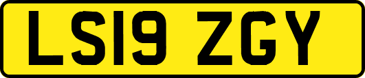LS19ZGY