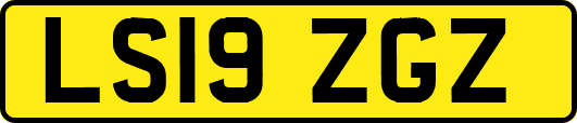 LS19ZGZ