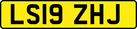 LS19ZHJ