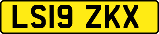 LS19ZKX