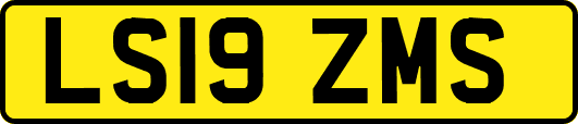 LS19ZMS