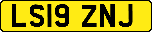 LS19ZNJ