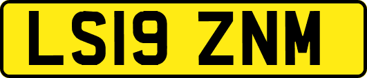 LS19ZNM