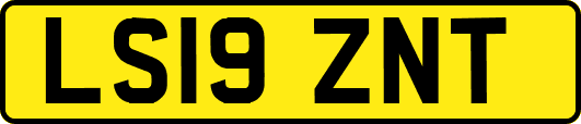 LS19ZNT