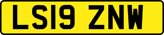 LS19ZNW
