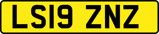 LS19ZNZ