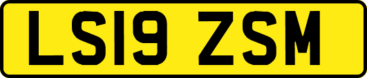 LS19ZSM