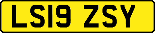 LS19ZSY