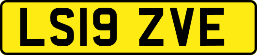 LS19ZVE