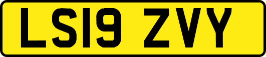 LS19ZVY