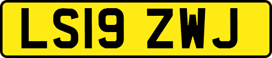 LS19ZWJ