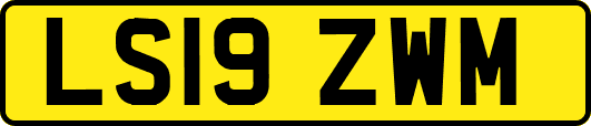 LS19ZWM