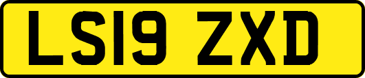 LS19ZXD