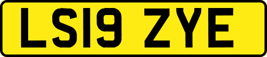 LS19ZYE