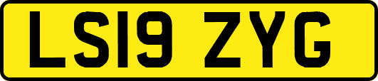 LS19ZYG