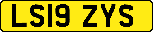 LS19ZYS