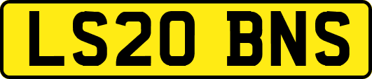 LS20BNS