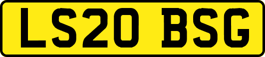 LS20BSG