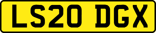 LS20DGX