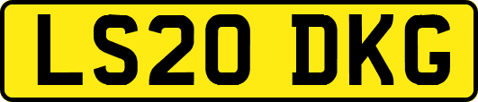 LS20DKG