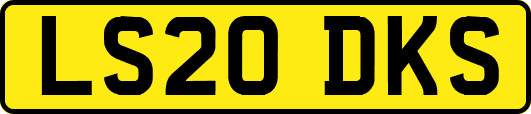 LS20DKS