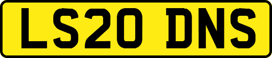 LS20DNS