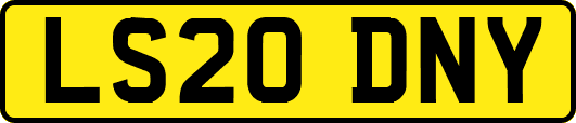 LS20DNY