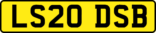 LS20DSB