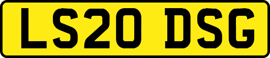 LS20DSG