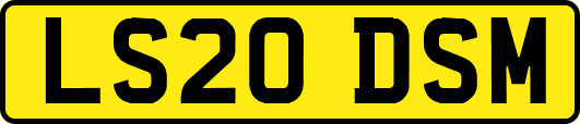 LS20DSM