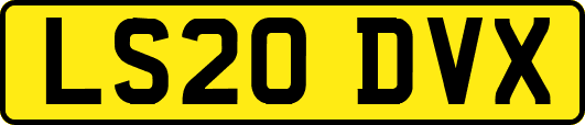 LS20DVX