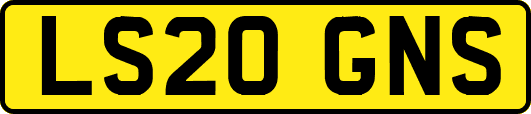 LS20GNS