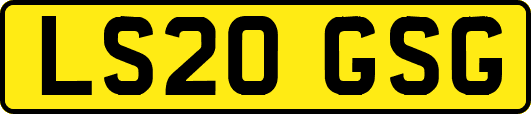 LS20GSG