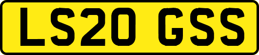 LS20GSS