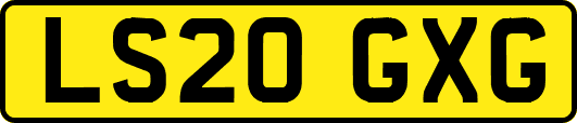 LS20GXG
