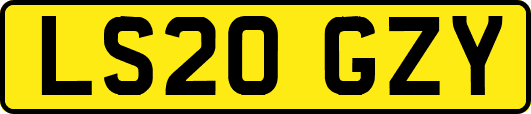 LS20GZY