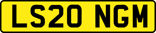 LS20NGM