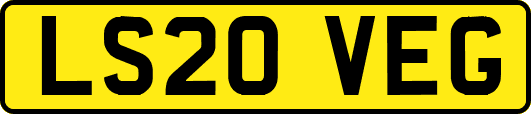 LS20VEG
