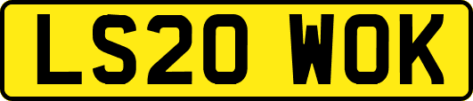 LS20WOK